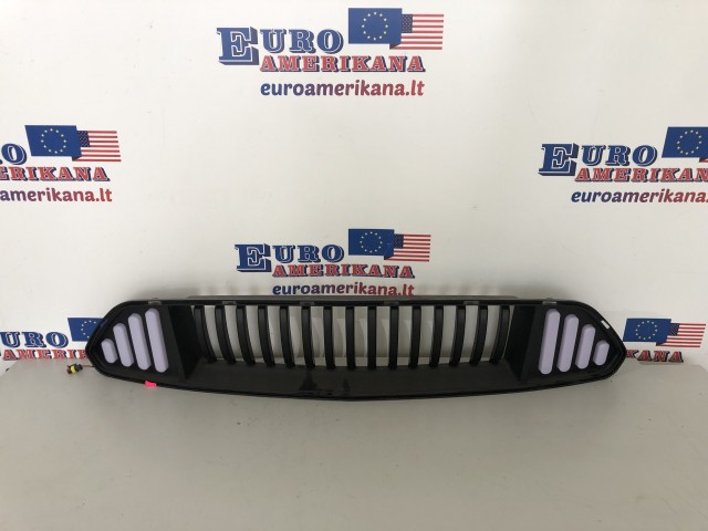 Upper Grille (LED, DRL)